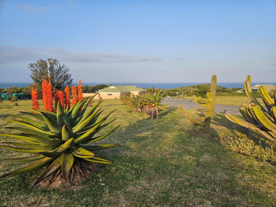 0 Bedroom Property for Sale in Glen Stewart Eastern Cape